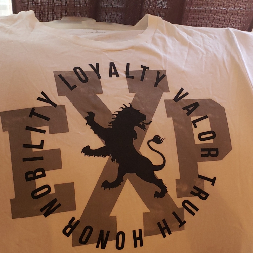 EXPRESS stylish tee shirt with design